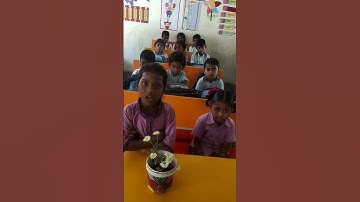 Rani`s  plant 2nd class english,Ranis plant