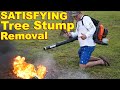 The Most Satisfying way to Remove a Giant Tree Stump! *4 Different Methods* 1