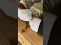 大工の技術𓂃 埋め木3𓂃 瓢箪から駒! #shorts #short #大工 #職人 #技術