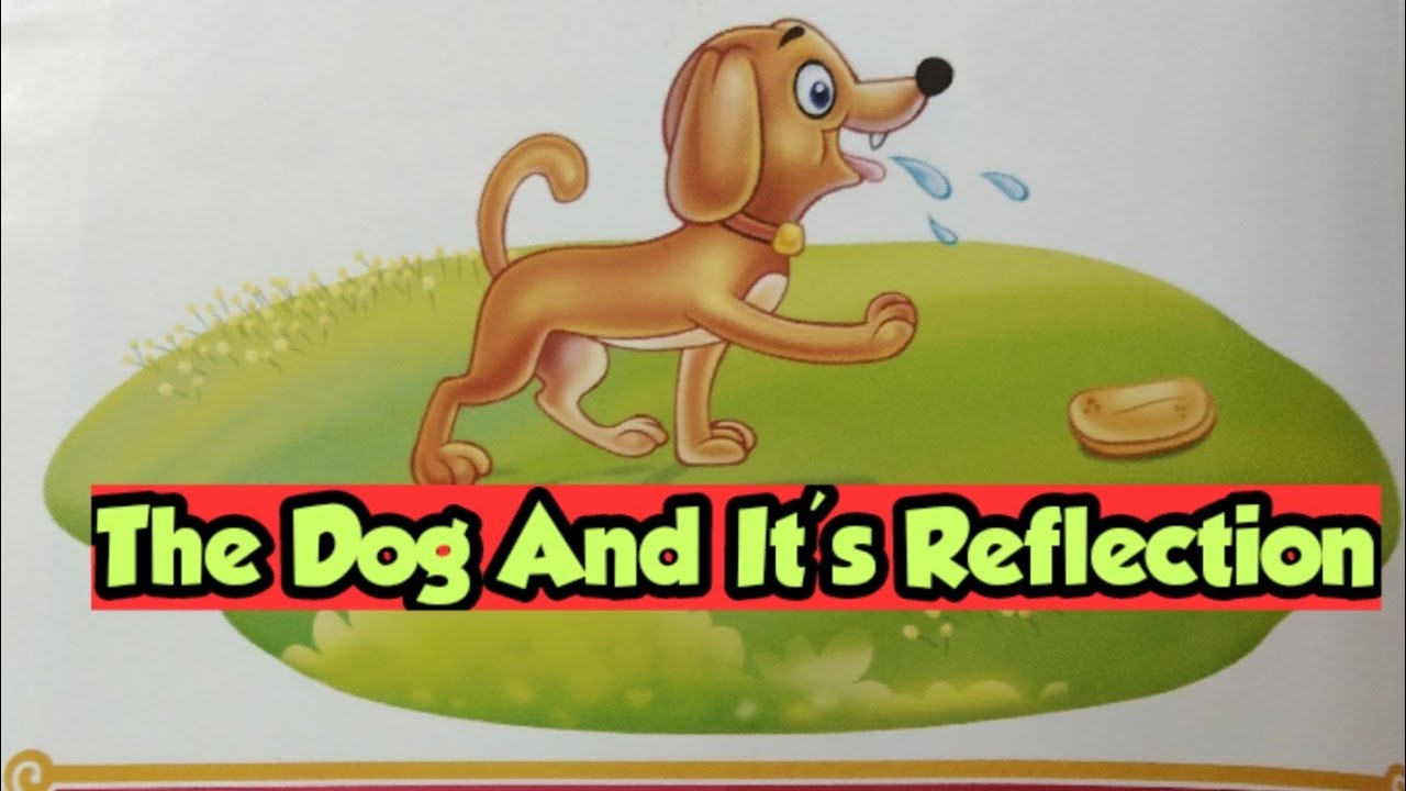 The Dog And It'S Reflection| |Moral Story| - Youtube