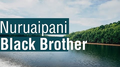 Nuruaipani - Black Brother   // Lirik Lagu Terbaik Papua