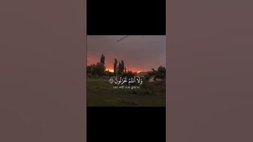 يا عباد لا خوف عليكم اليوم ولا انتم تحزنون   سورة الزخرف   محمد صديق المنشاوي