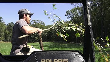 Building a mock scrape in a food plot. Summertime project for fall success