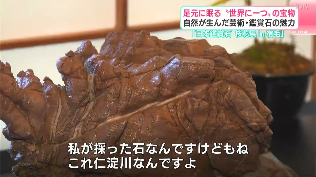 足元に眠る“世界に一つ”の宝物 自然が産んだ芸術・鑑賞石の魅力 高知は