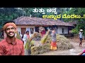 Paddy yield | ಭತ್ತ ಕಟಾವಿನ ದೃಶ್ಯಗಳೆಡೆಗೆ.. | Bhattada koylu | Manual paddy cropping | Bhat‘n'Bhat