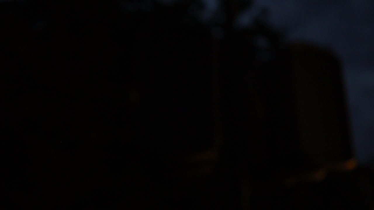 에버랜드 여름시즌 유러피언 BGM (야간)