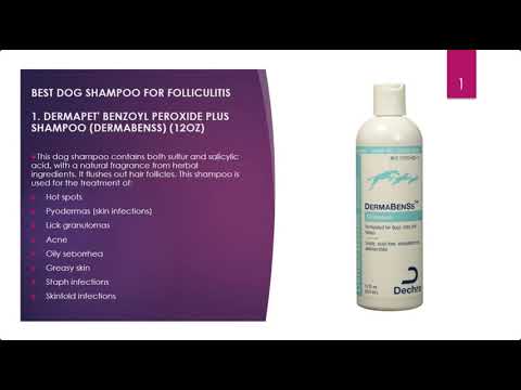 dermapet benzoyl peroxide plus shampoo