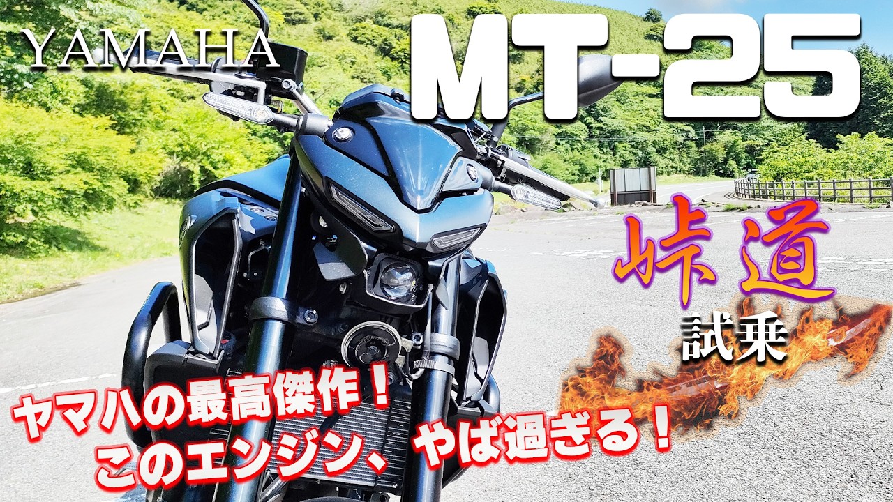 ヤマハ MT-25 ノーマル 低走行 自賠責残有 個人出品 ヤマハ MT－25