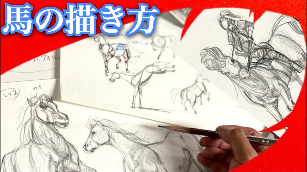 馬の描き方 練習方法など 動物スケッチ Hane イラストの練習 一緒に描きましょう Youtube