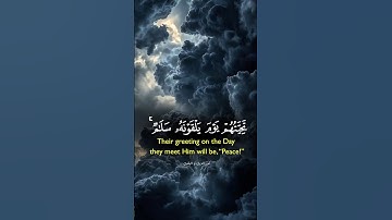 تلاوة خاشعة تهز القلب 🌿♥️ #quran #تلاوات #تلاوة_خاشعة #تلاوة_هادئة #تلاوات_خاشعة #viral #trending