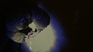 Didyouevenloveme? - Antea Official Audio