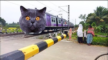 Angry CAT Headed Emu Local Train Dangerous & Furious Moving Out At Railgate