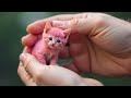 🐱 Cat-tastic Dental Rescue! | Whimsical Hacks &amp; Purr-sonalized Crafts!