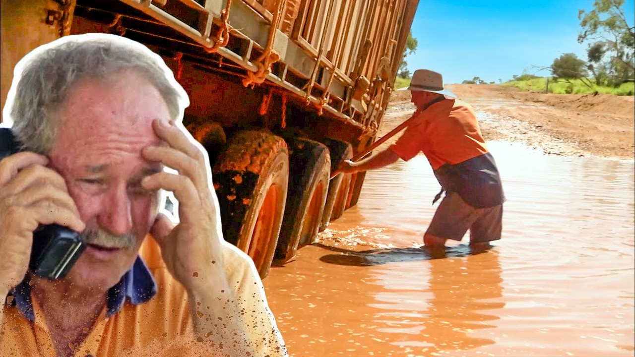 Every Time Steve Grahame Got Bogged on Outback Truckers