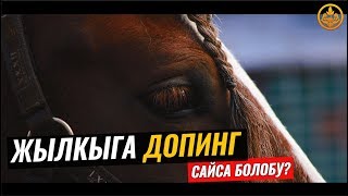 ЖЫЛКЫГА ДОПИНГ САЙСА БОЛОБУ? Шейх Чубак ажы