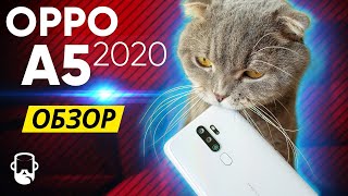 ОБЗОР OPPO A5 2020 + Опыт использования / Бюджетный игровой смартфон 2019 года