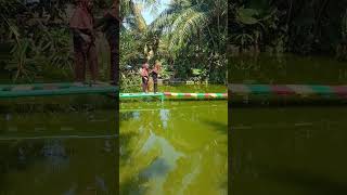 Naon lepatna pop sunda nining meida