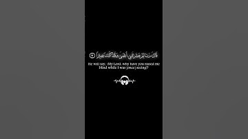 قال رب لم حشرتني اعمى ✨سورة طه ✨ طارق محمد ✨ كروما قرآن كريم خلفية سوداء black ground 🖤 #quran