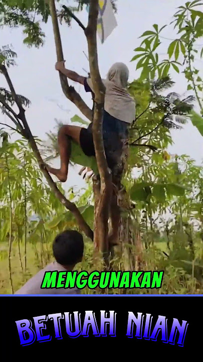 berebut layangan putus bersama bocil