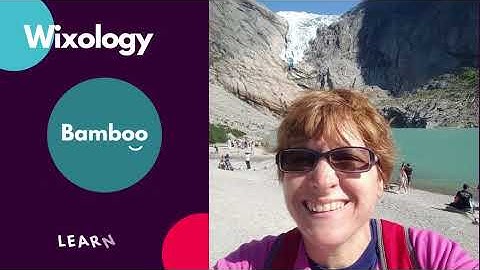 Wixology Bitesize - How to use the layers panel in the Wix mobile editor