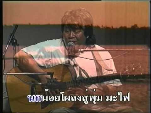 ค่ำลง คาราวาน