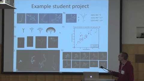 Hybrid Tangible Interfaces