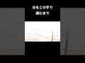 殺伐とラブニア/DOES【アコギ弾き語り】
