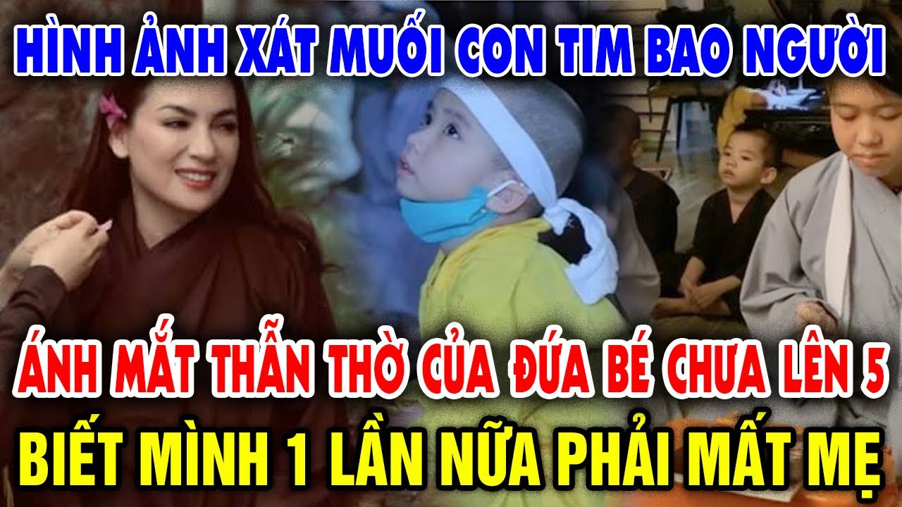 Ánh mắt thẫn thờ con nuôi Phi Nhung chịu cảnh mồ côi... - youtube