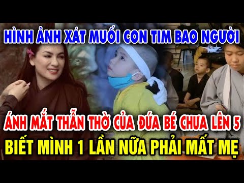 Video Ánh mắt thẫn thờ con nuôi Phi Nhung chịu cảnh mồ côi... - youtube