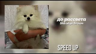 Сати Казанова - до рассвета [ speed up ]