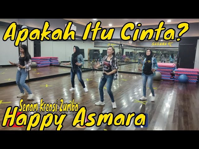 Apakah Itu Cinta (DJ Selow) Happy Asmara - Senam kreasi nofa salsa Aerobic
