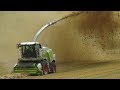 Chopping damp  mouldy straw with claas jaguar 950