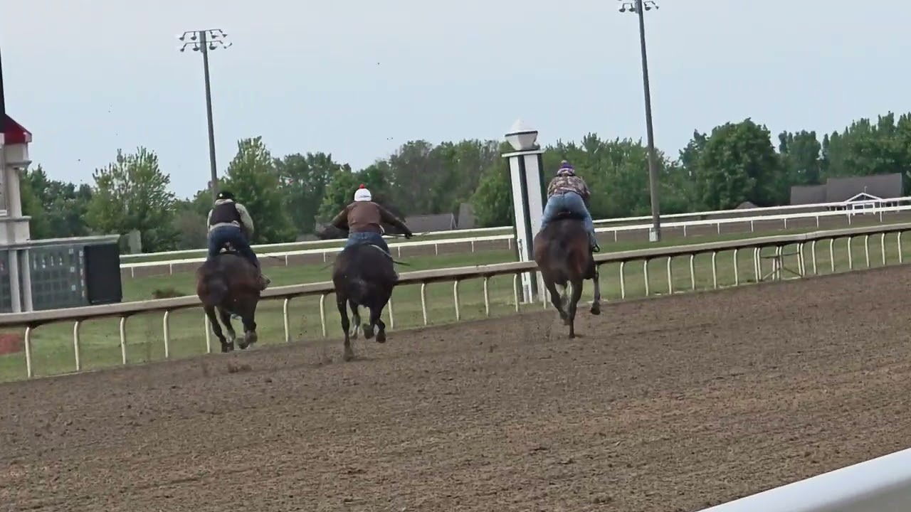 Lillabet, Sweet Viola and I like it black