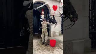 This Will Make You Cry, Watch How The Kings Guard Horse Thanks The Soldier After He Cools Him Down