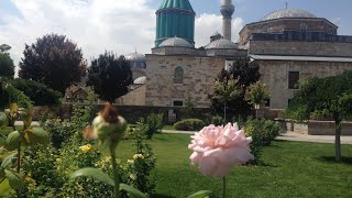 Medine Gülü İlahi-Murat Kahraman -