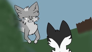 "Dying in LA" - MAP part 6 ||warrior cats||