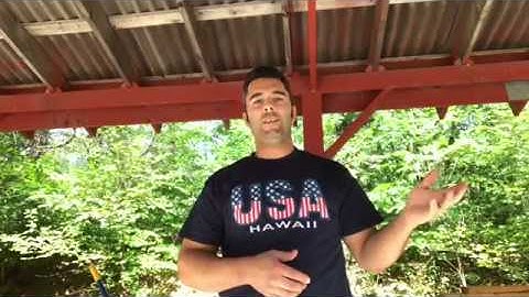 Smith and Wesson Apex Trigger accuracy testing. SD9VE and Shield 9mm