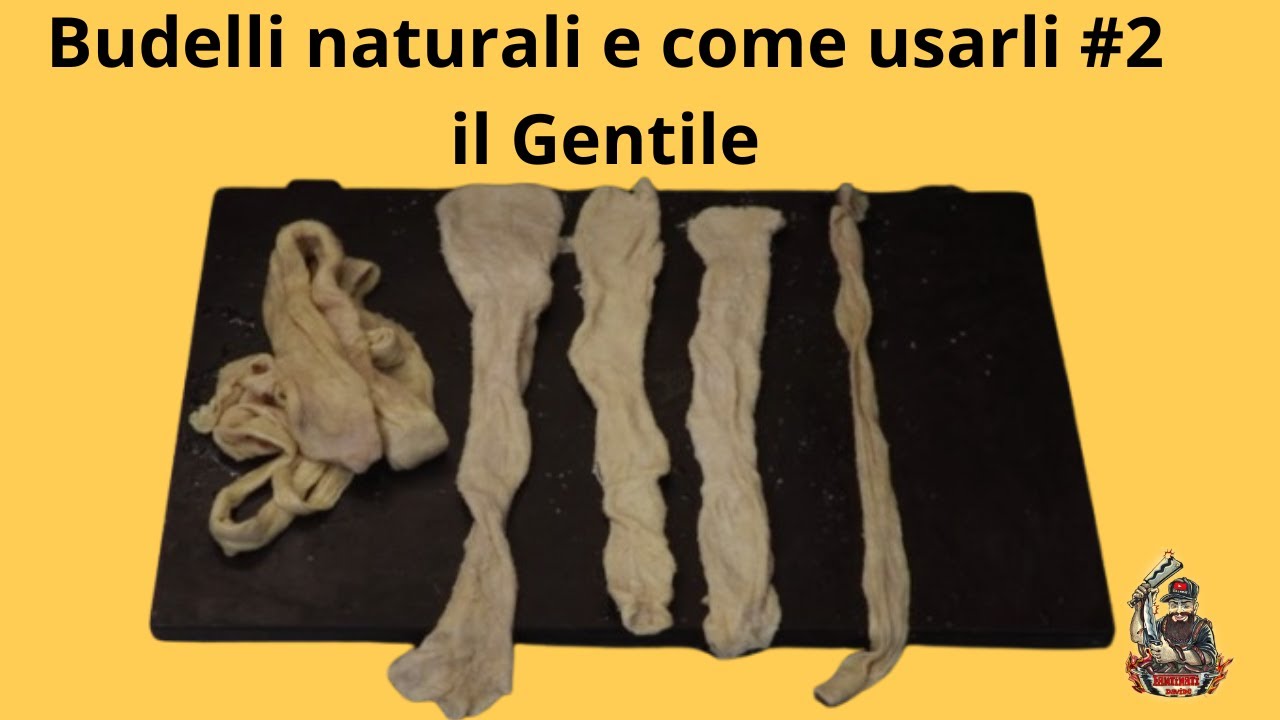 Budelli naturali e come usarli #2 Il Gentile