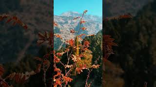 Vídeo de with an acoustic guitar and (preferably) a Tibetan backbeat.