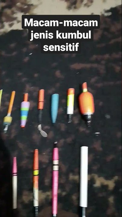 macam-macam jenis kumbul sensitif #umpanmancing #shorts #video #ikan #fishing