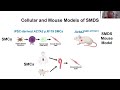 Update on smooth muscle dysfunction syndrome research