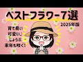 【2025ベストバイ】迷ったらコレ！買って良かったお花7選