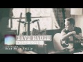 Dave hause  wild love