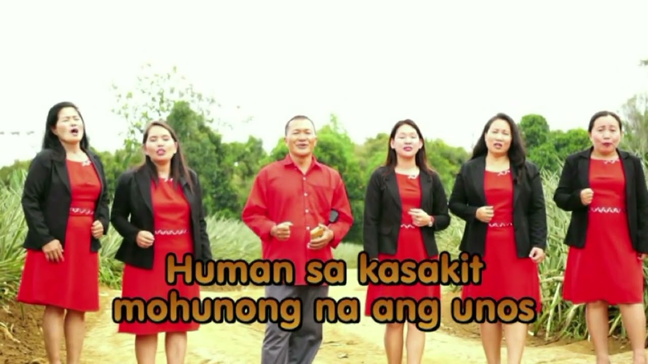 1 hour of non stop video - sheveruj  singers