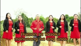 1 hour of non stop video - sheveruj  singers