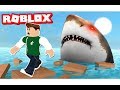 الهروب من سمك القرش في لعبة roblox !! 