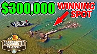 You WON'T BELIEVE where $300k worth of Fish were Hiding!!