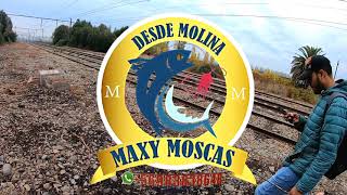 Pesca de PEJERREYES con MASA| MOLINA, MAULE, CHILE|
