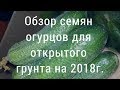Обзор семян огурцов   для открытого грунта на 2018г.