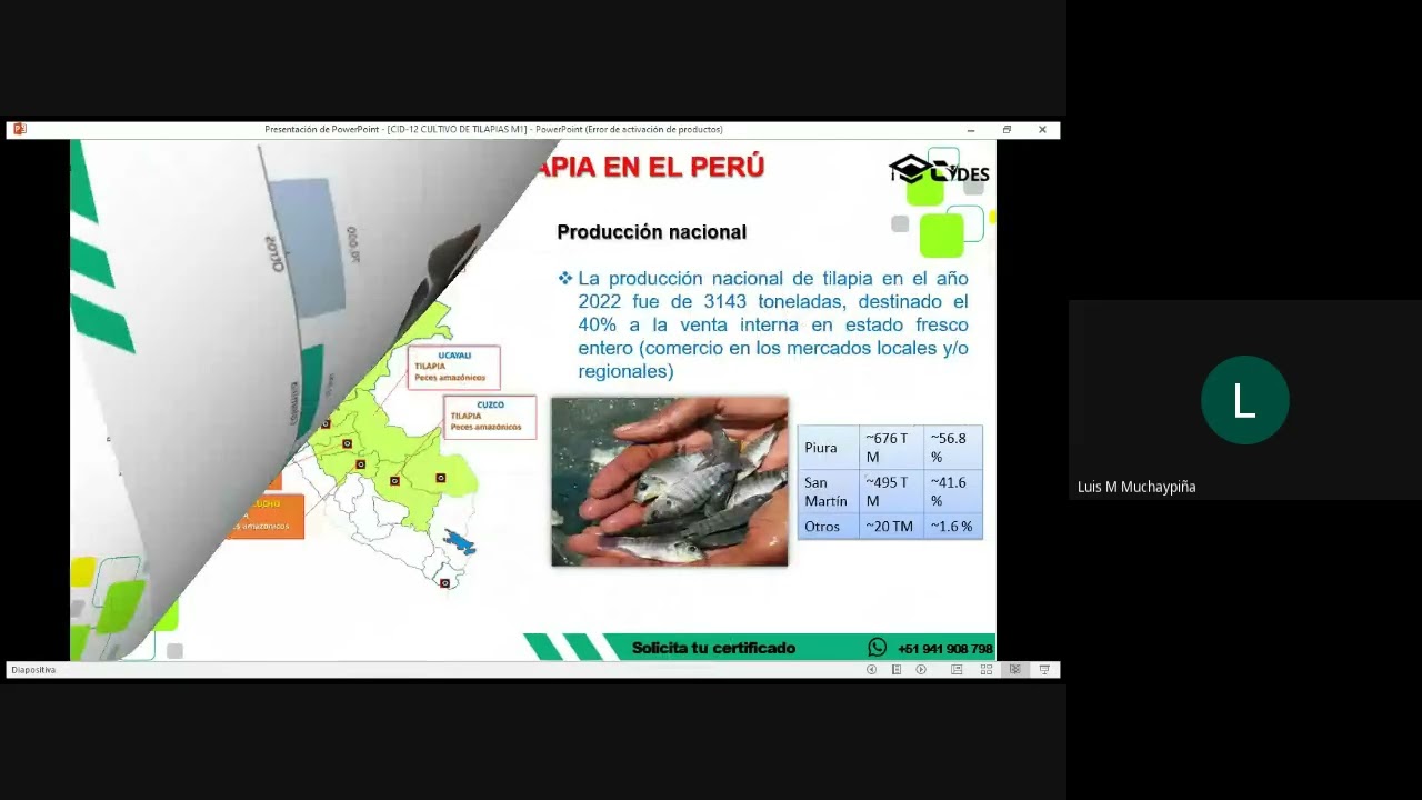 🐟🌊 𝐏𝐑𝐎𝐃𝐔𝐂𝐂𝐈𝐎́𝐍 𝐃𝐄 𝐓𝐈𝐋𝐀𝐏𝐈𝐀 𝐄𝐍 𝐃𝐈𝐅𝐄𝐑𝐄𝐍𝐓𝐄𝐒 𝐒𝐈𝐒𝐓𝐄𝐌𝐀𝐒 𝐃𝐄 𝐂𝐔𝐋𝐓𝐈𝐕𝐎